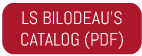 thumbnail lsb 2019 engl